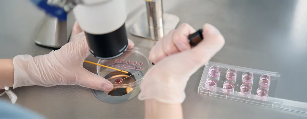 EmbryoGlue