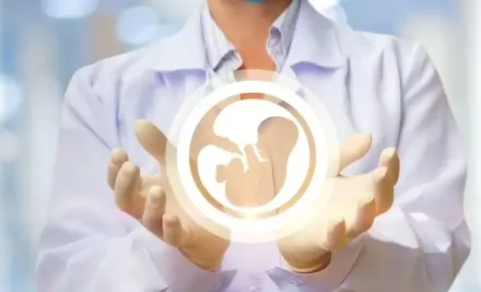 Wichtige Hinweise für erfolgreiche IVF Behandlungen