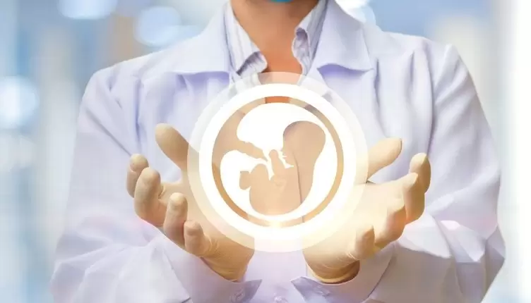 Wichtige Hinweise für erfolgreiche IVF Behandlungen