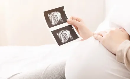 Blastozystentransfer