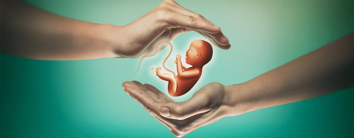 IVF mit Eizell-Pooling bei Dogus IVF in Zypern