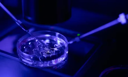 Intrazytoplasmatische Spermieninjektion (ICSI) – Ablauf, Anwendung und Erfolg