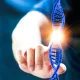 Was ist ein Mosaik-Embryo? Bedeutung und Chancen