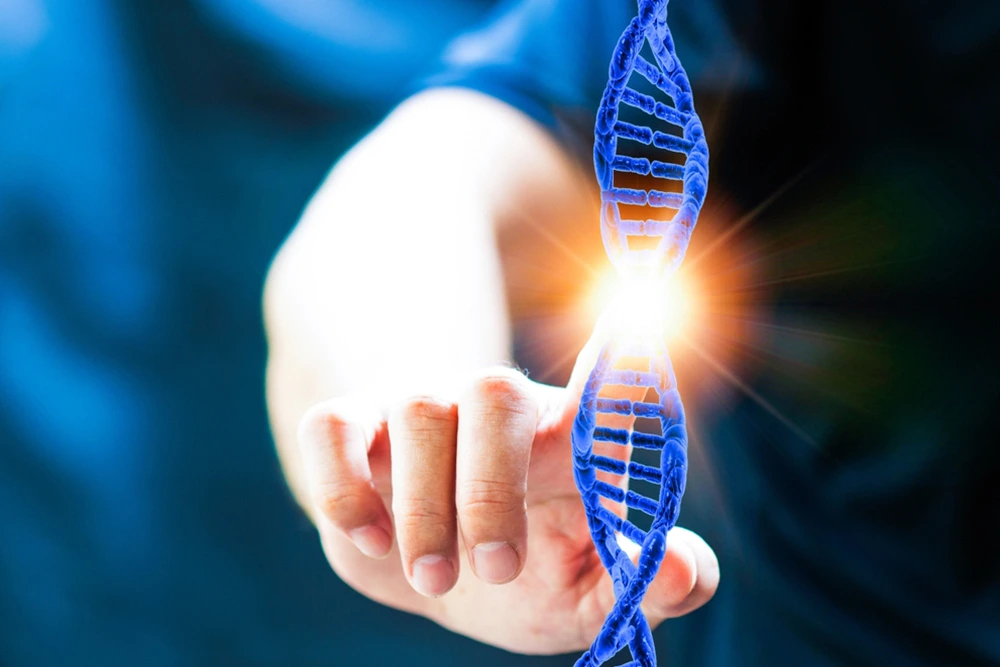 Was ist ein Mosaik-Embryo? Bedeutung und Chancen